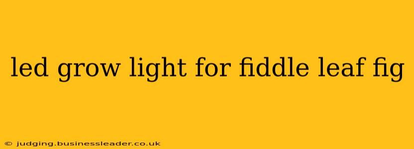 led grow light for fiddle leaf fig
