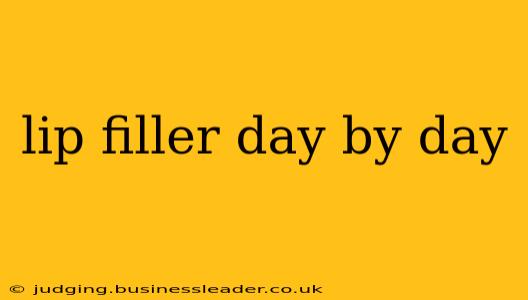 lip filler day by day