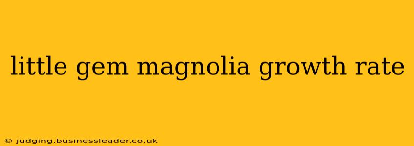 little gem magnolia growth rate