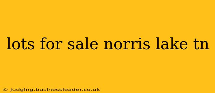 lots for sale norris lake tn