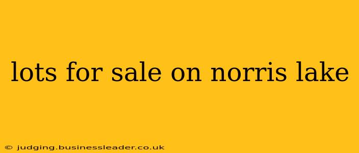 lots for sale on norris lake
