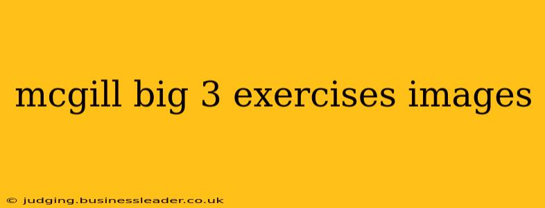 mcgill big 3 exercises images