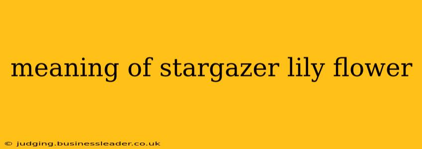 meaning of stargazer lily flower
