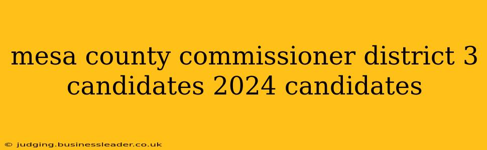 mesa county commissioner district 3 candidates 2024 candidates