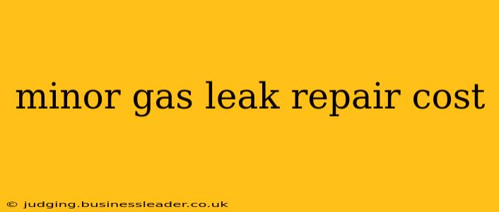minor gas leak repair cost