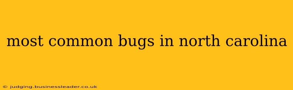 most common bugs in north carolina
