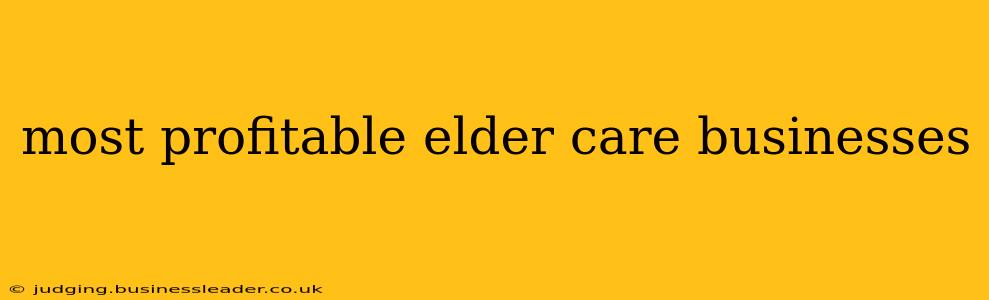 most profitable elder care businesses