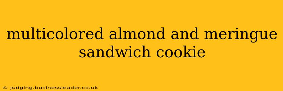 multicolored almond and meringue sandwich cookie