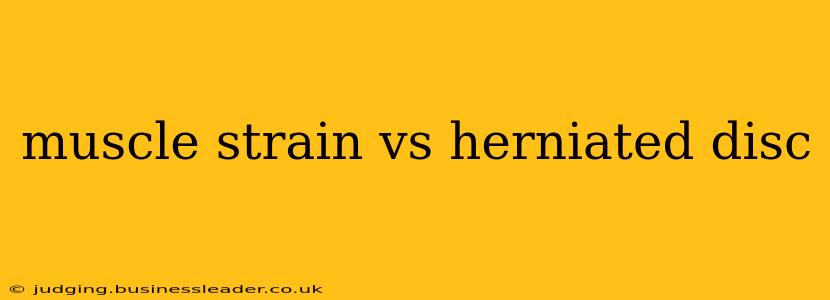 muscle strain vs herniated disc
