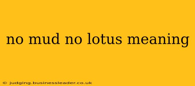 no mud no lotus meaning