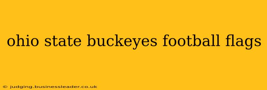 ohio state buckeyes football flags
