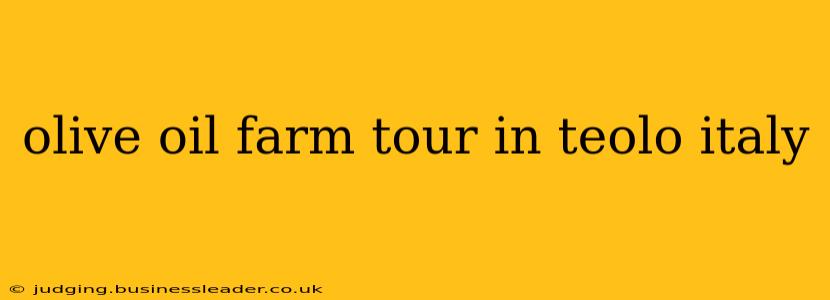 olive oil farm tour in teolo italy