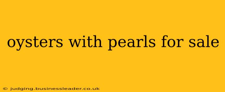 oysters with pearls for sale