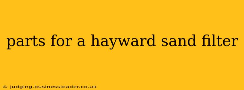 parts for a hayward sand filter