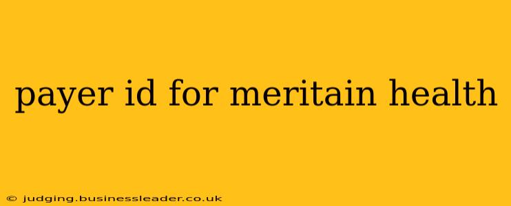 payer id for meritain health
