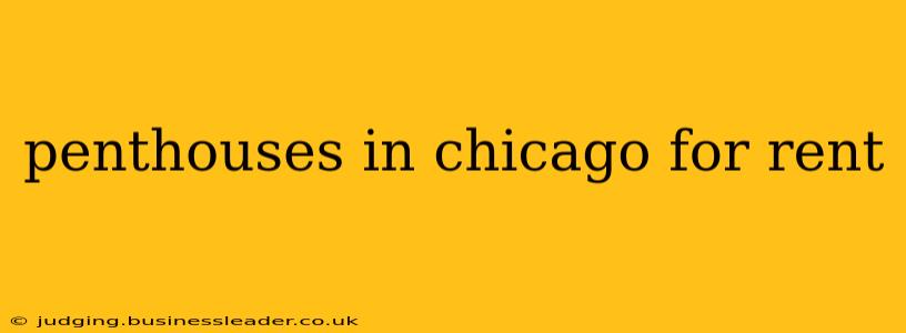 penthouses in chicago for rent