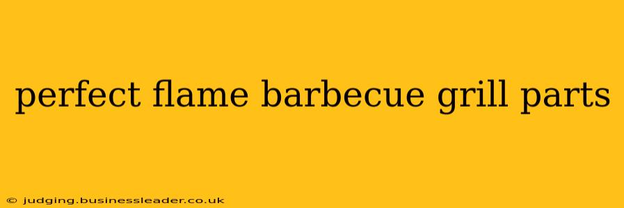 perfect flame barbecue grill parts