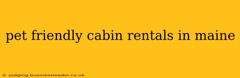 pet friendly cabin rentals in maine