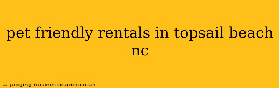 pet friendly rentals in topsail beach nc