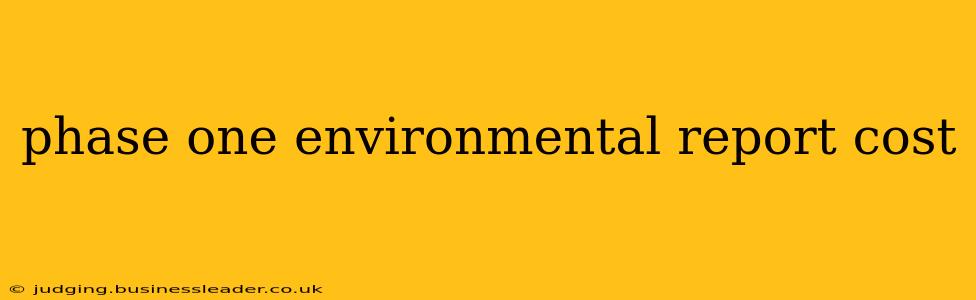 phase one environmental report cost