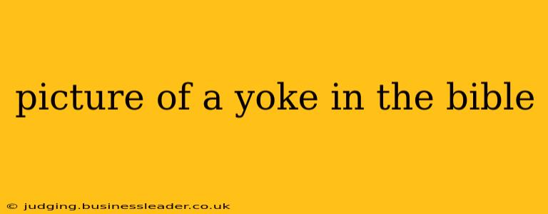 picture of a yoke in the bible