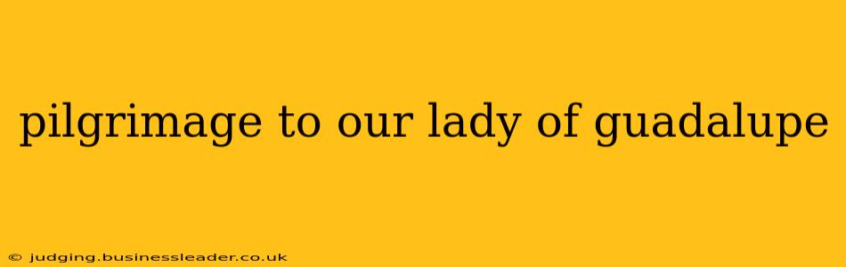 pilgrimage to our lady of guadalupe