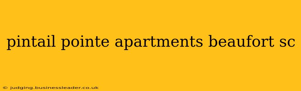 pintail pointe apartments beaufort sc
