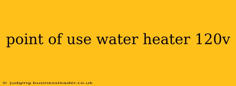 point of use water heater 120v