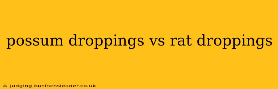 possum droppings vs rat droppings