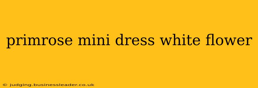 primrose mini dress white flower