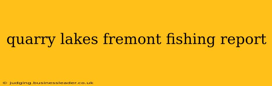 quarry lakes fremont fishing report