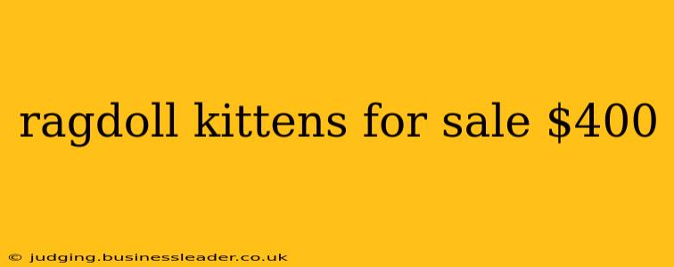 ragdoll kittens for sale $400