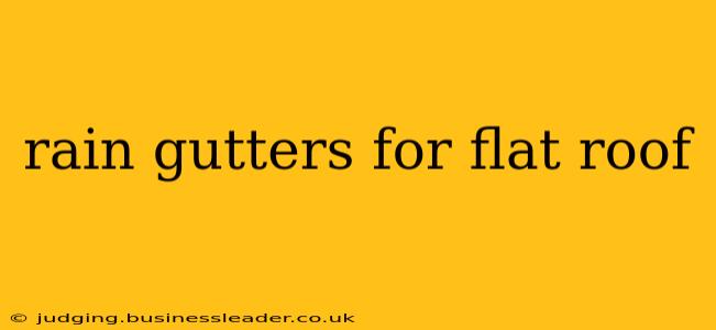 rain gutters for flat roof