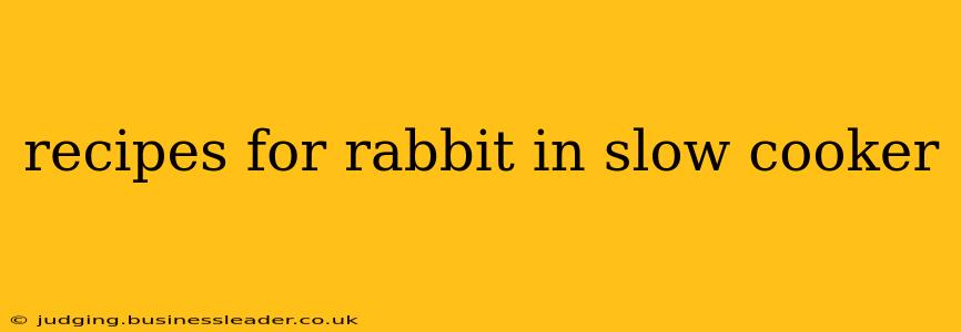 recipes for rabbit in slow cooker