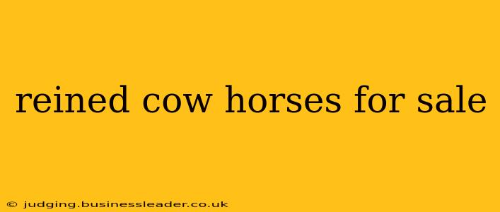 reined cow horses for sale
