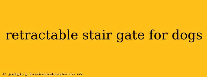 retractable stair gate for dogs
