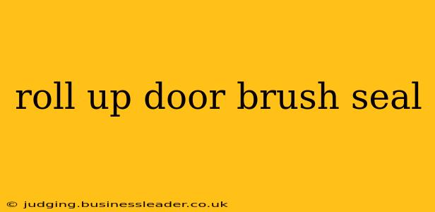 roll up door brush seal