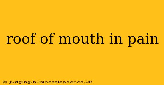 roof of mouth in pain