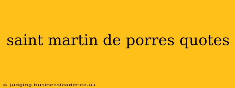 saint martin de porres quotes