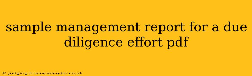 sample management report for a due diligence effort pdf