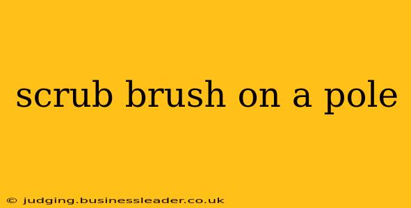 scrub brush on a pole