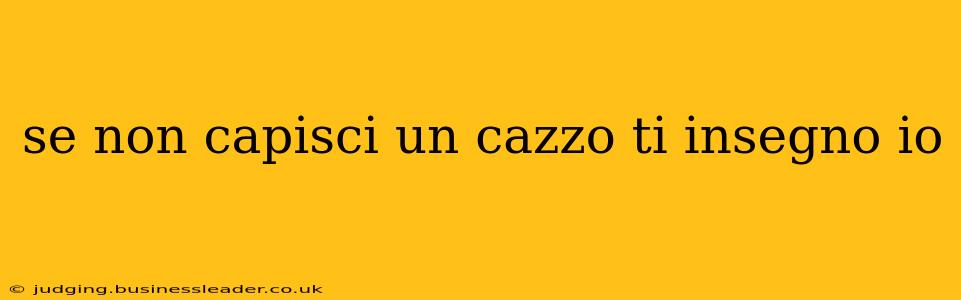 se non capisci un cazzo ti insegno io se non capisci un cazzo ti insegno io