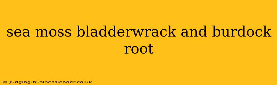 sea moss bladderwrack and burdock root