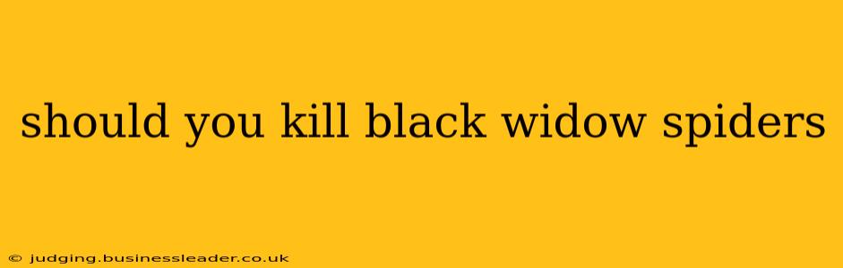 should you kill black widow spiders
