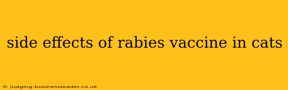 side effects of rabies vaccine in cats