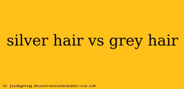 silver hair vs grey hair