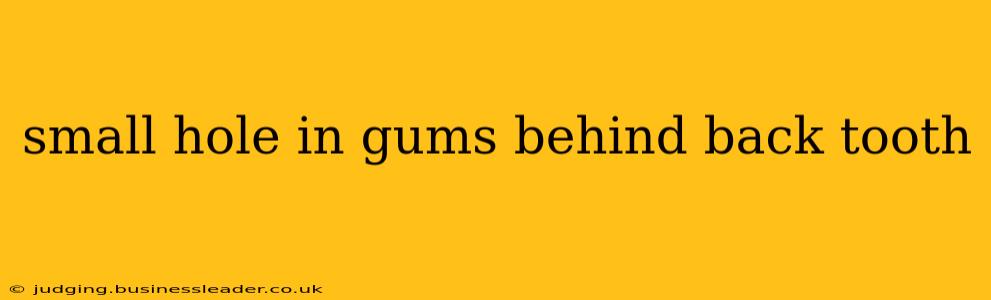 small hole in gums behind back tooth