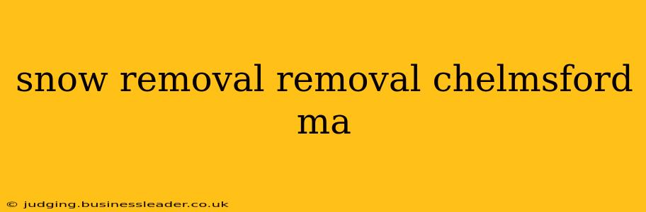 snow removal removal chelmsford ma