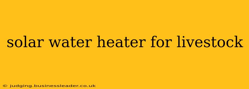 solar water heater for livestock