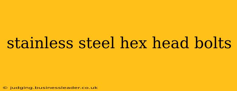 stainless steel hex head bolts